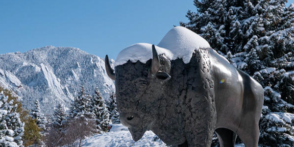 Ralphie statue in the snow